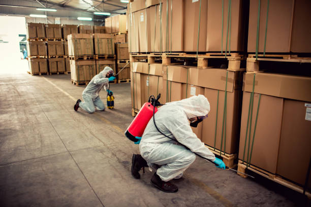 Best Cockroach Control Services  in Kayenta, AZ