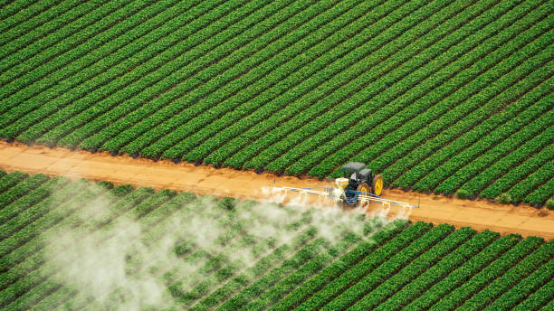 Professional Pest Control in Kayenta, AZ